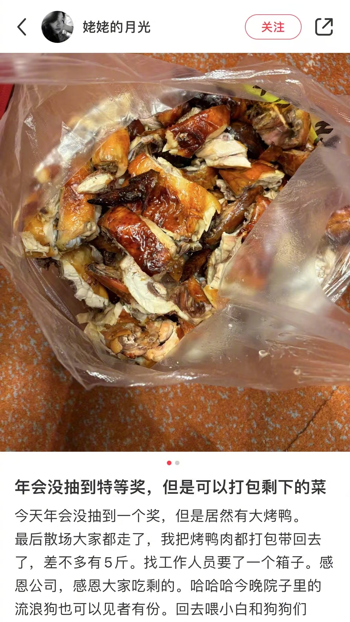我没中奖但狗狗中了 