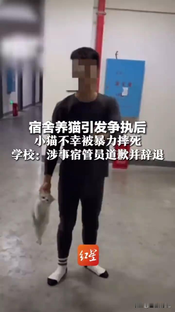 “彻底解释不清了！”江西一职校宿舍，学生偷偷养的小猫被教官查获，学生激动连喊几十