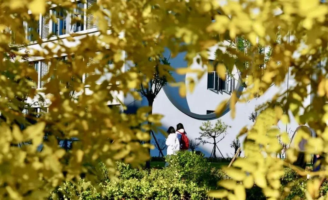 泰山科技学院越冻越美

感受一下泰安泰山科技学院最美的深秋。