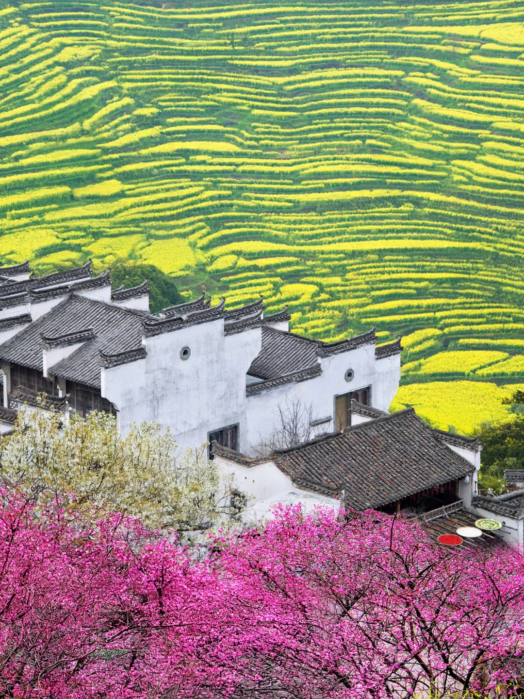 被《国家地理》评为中国最美古村有多绝‼️