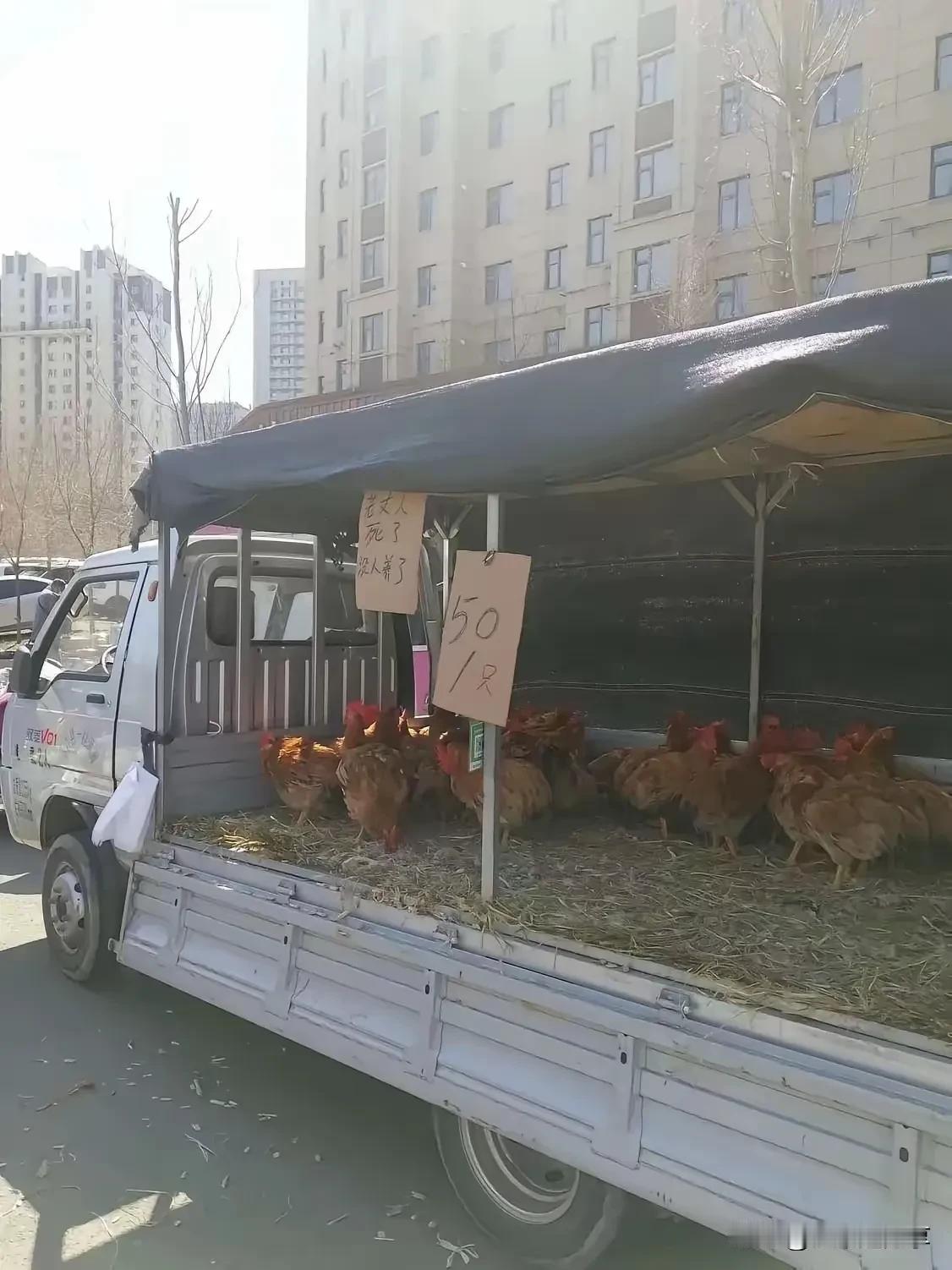见过温州鞋厂老板带着小姨跑路，鞋子降价清仓的。

但没见过这样的！

其实50一