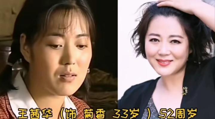 王茜华扮演的菊香
朱婷扮演的英子
李歌扮演的王淑娟
这三位女演员在《当家的女人》