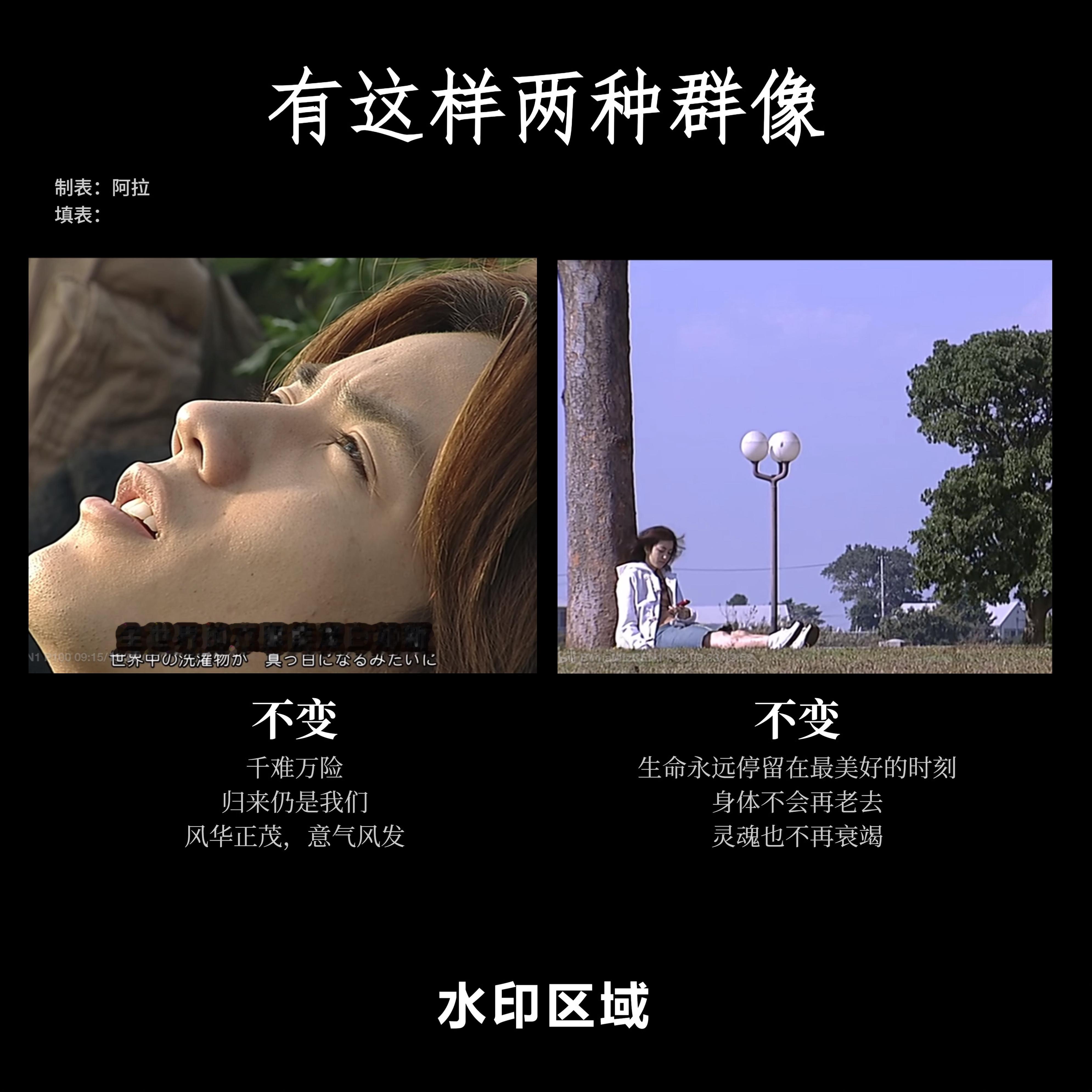 明天见 