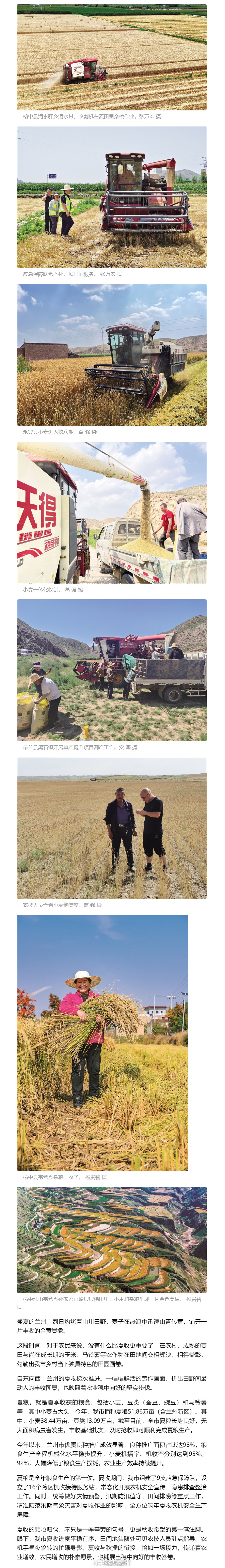 盛夏兰州田间好风光【沃野麦浪涌 夏收正当时】盛夏的兰州，烈日灼烤着山川田野，麦子