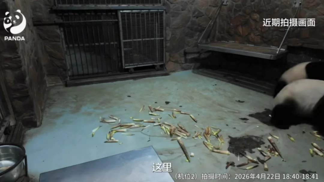 为了达到目的，让内场早就分开住的花叶合笼
