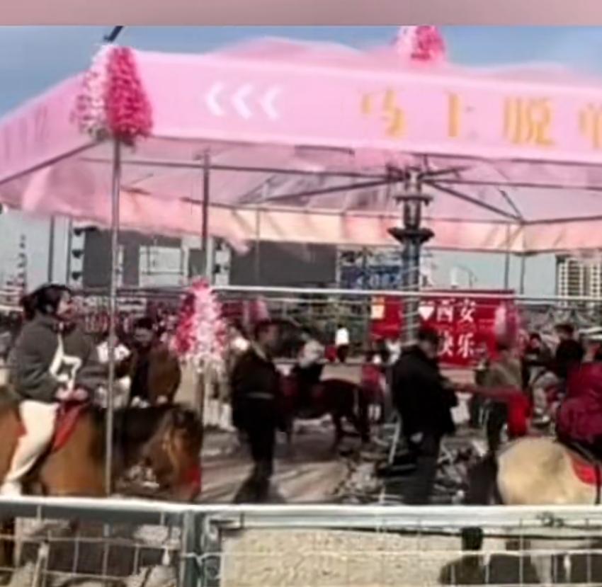 旋转木马升级成旋转真马。
西安一景区用真马替代木马，创意挺奇，但奇不过网友的质疑