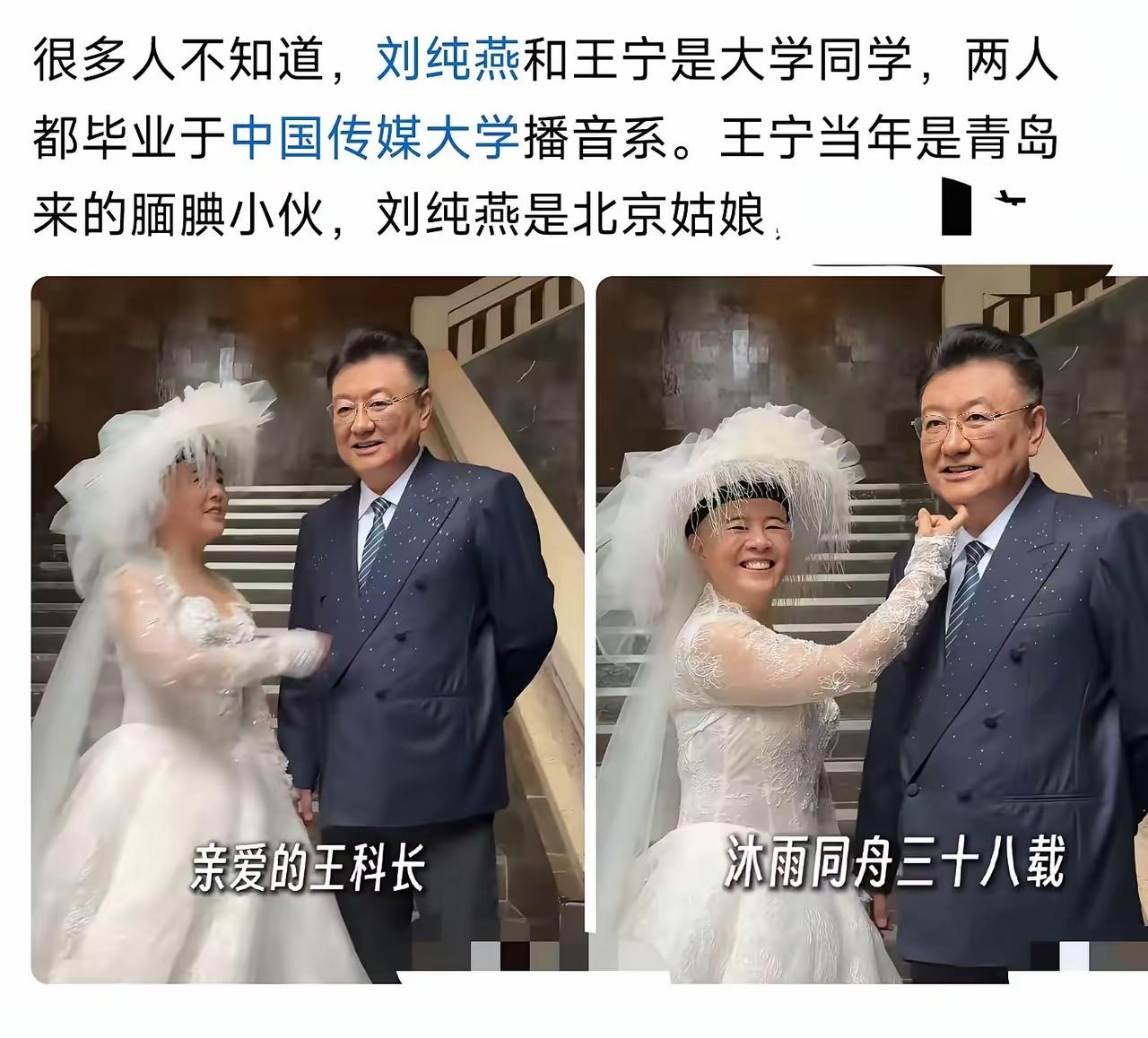 王宁和刘纯燕当年谁追谁？
不会是金龟子倒追吧？
