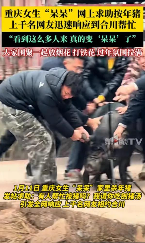 2026年第一个"闯大祸"的人出现了，重庆博主"呆呆"网上求助"按年猪"，四千多