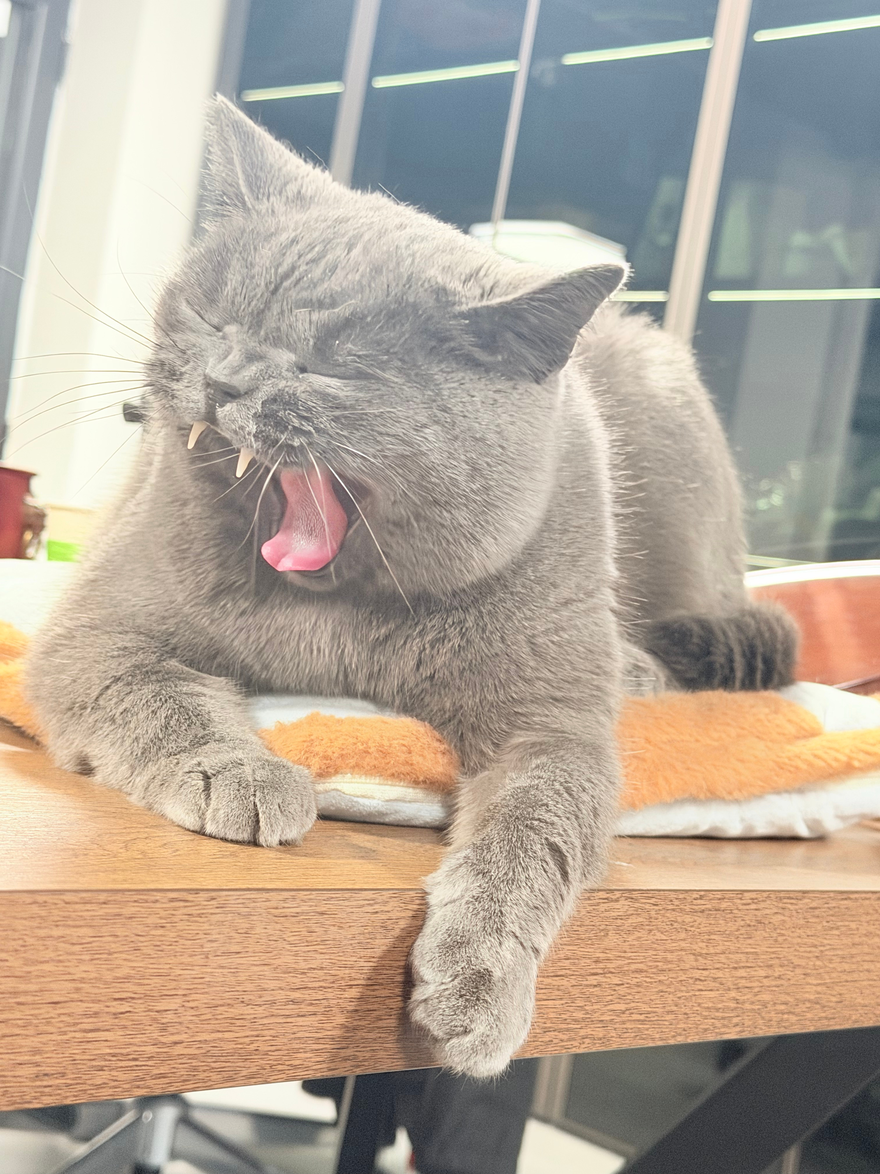 我想知道大家过节都胖多少让我心里平衡点