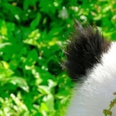 每日一善 yy阳光信用 每日‬一善 你对世界释放的每一份善意，终会化作暖流，回到