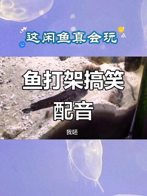 超1900万年轻人在闲鱼“偷偷搞钱”，00后占比41%成主力军。从配音、设计到考