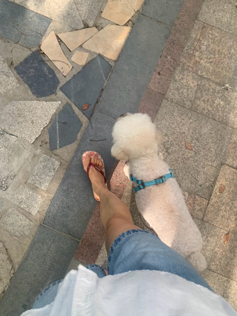 台风来了些许的清凉 