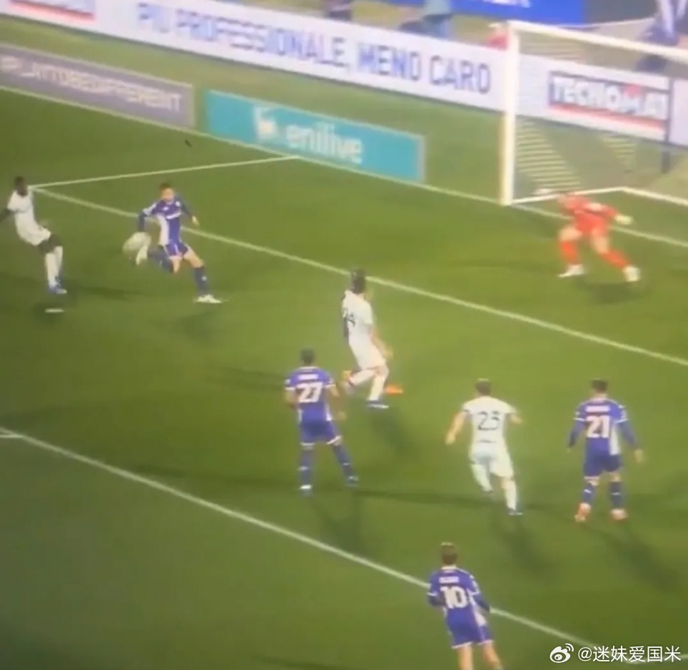 阿达尼：之前所有人都认为里奇手球应该是点球，庞格拉西奇手球犯规没什么不一样，意甲