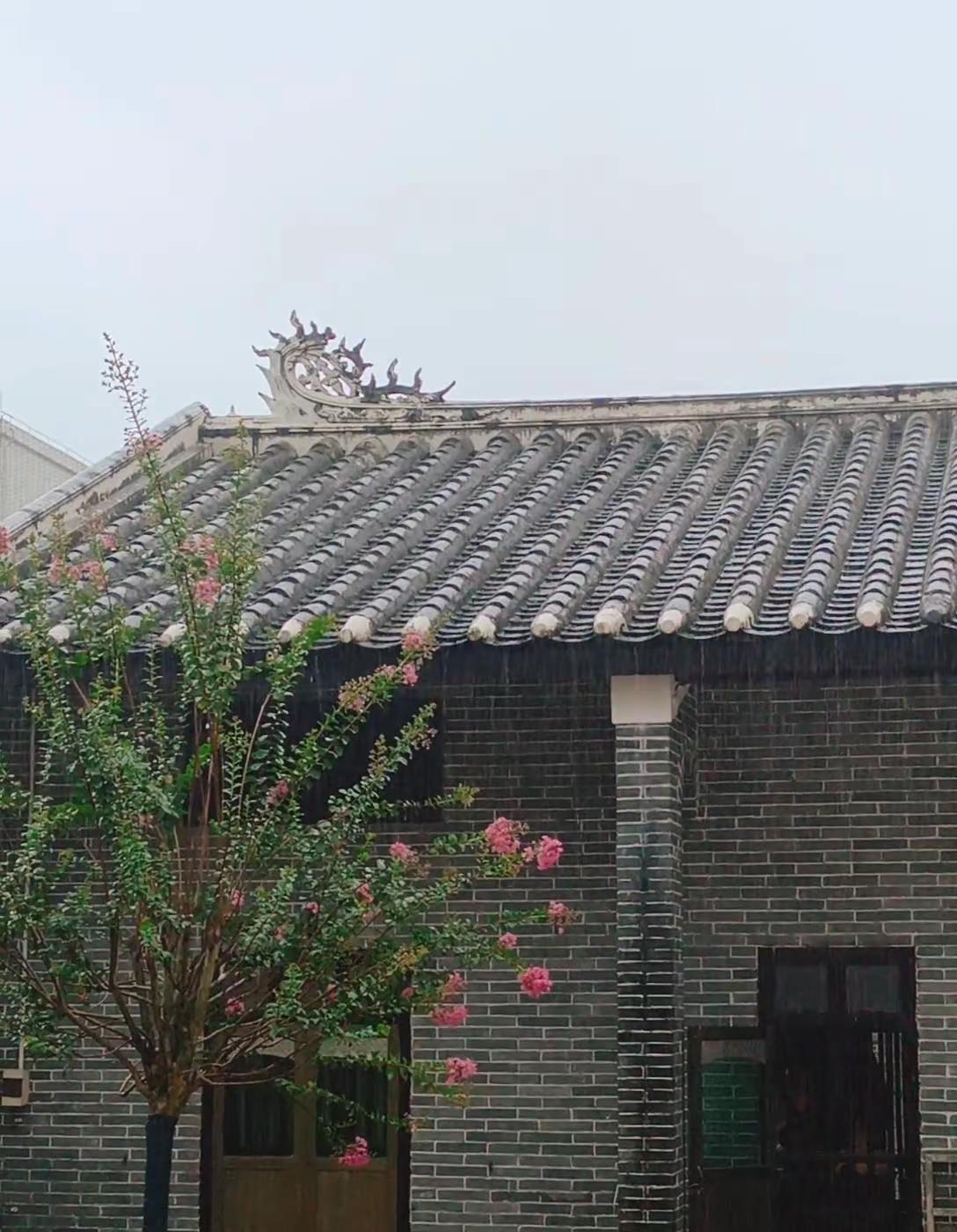 调皮的天，伤心的雨，明天后天还有雨，高兴了晒死你，生气了淋死你，一不小心就冻死你