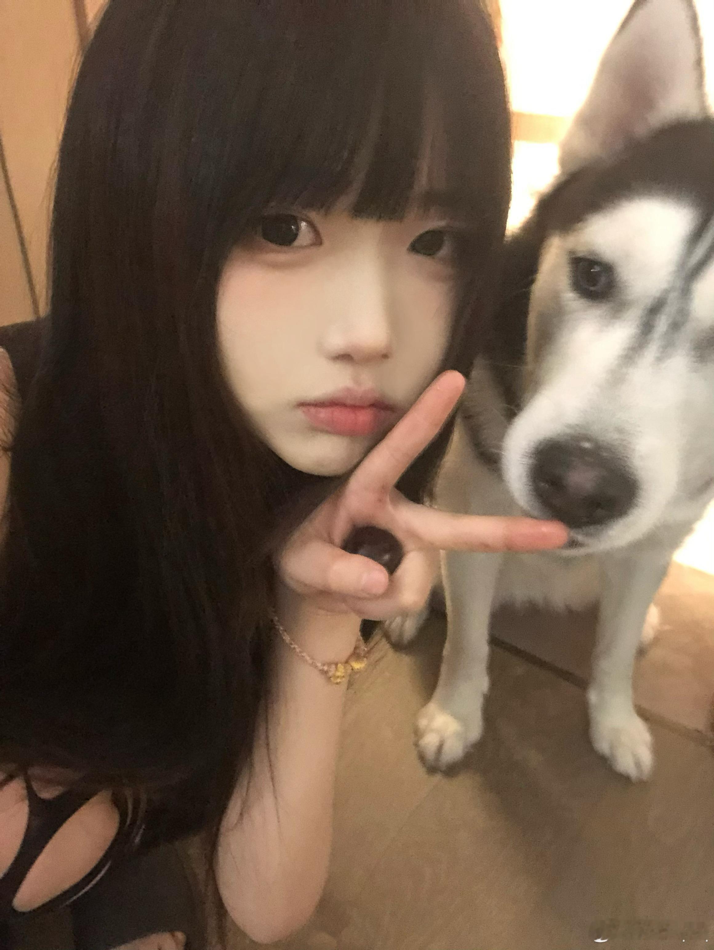 两只小狗๑>ᴗO๑ ​​​