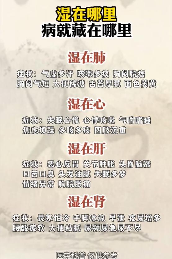 湿气藏在哪，病就在哪！湿在肺肝肾心对照看
