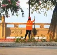 山东，环卫工大姐清晨扫街，突然听见绿化里传来一阵奇怪的“哼唧”声。她忍不住扒开冬