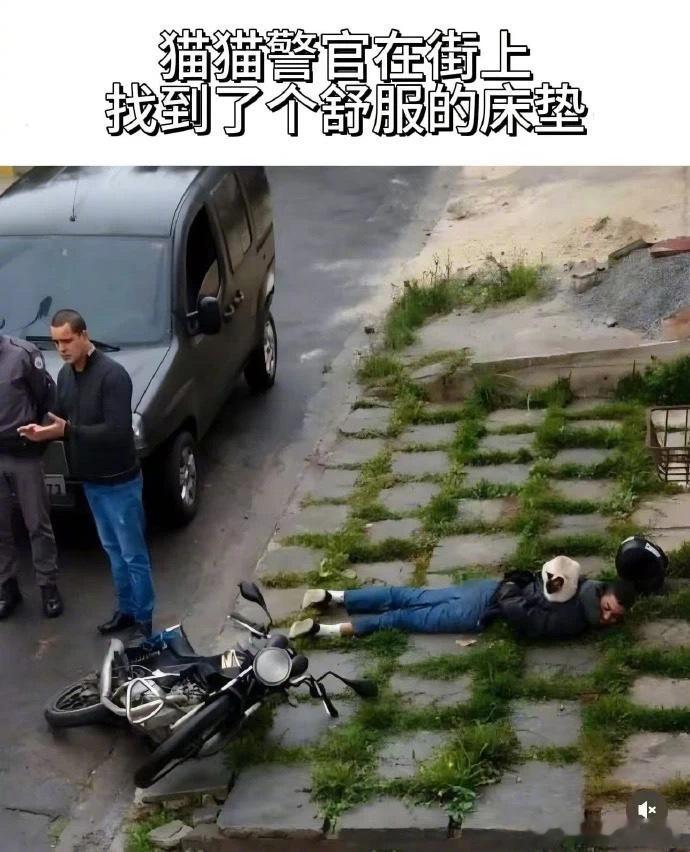 当场逮捕！ 宠物卖萌中心 ​​​