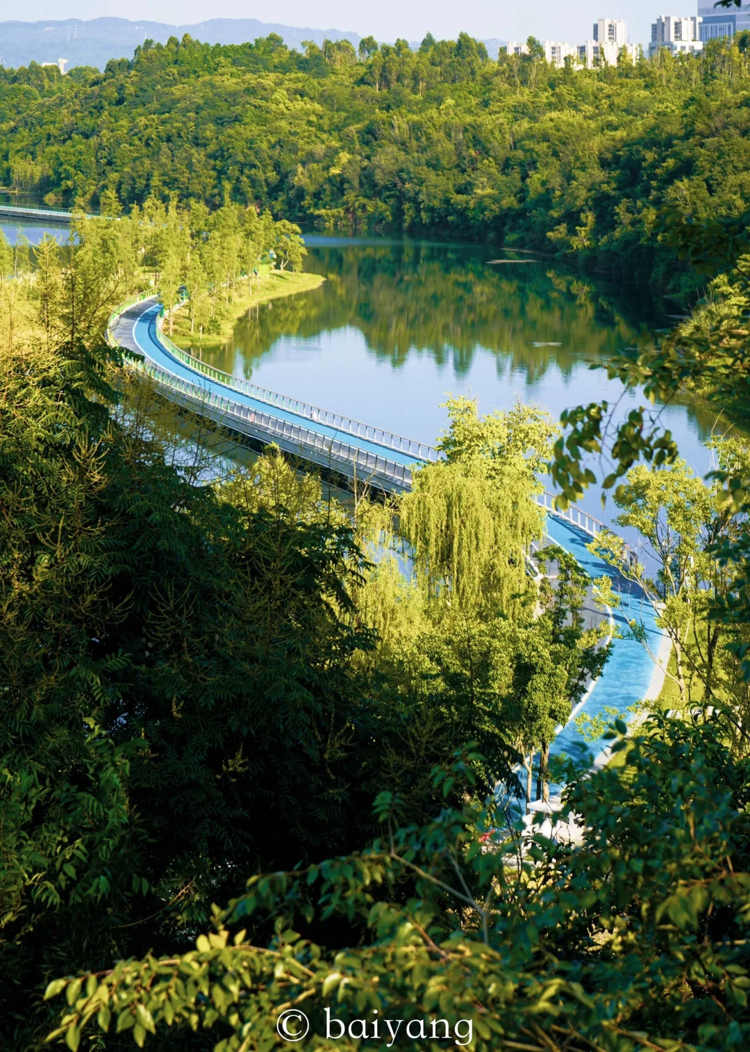 春和景明❗成都春日公园合集篇