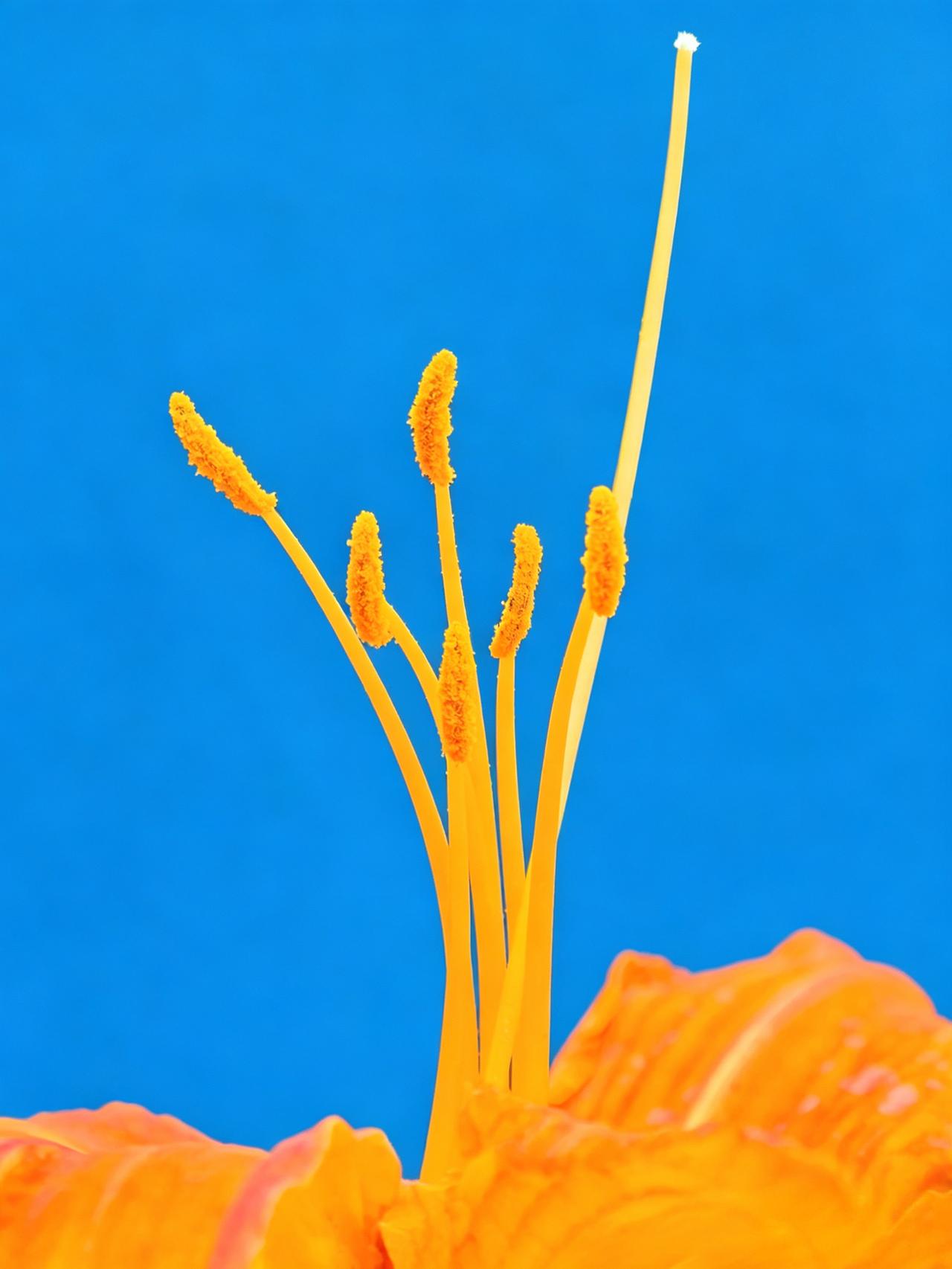 你有哪些随手拍的比较满意的照片