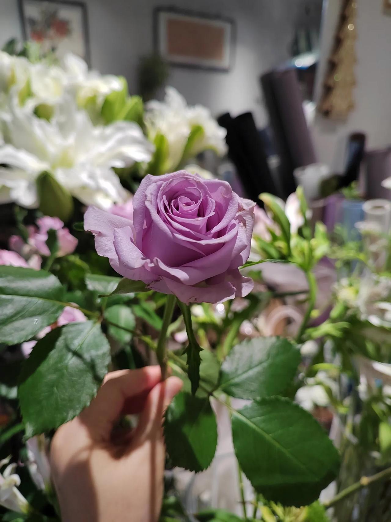 今天休息，外面的雨下的出奇的大，不是滴滴答答，而是哗～哗～的像从天上泼下来的一样