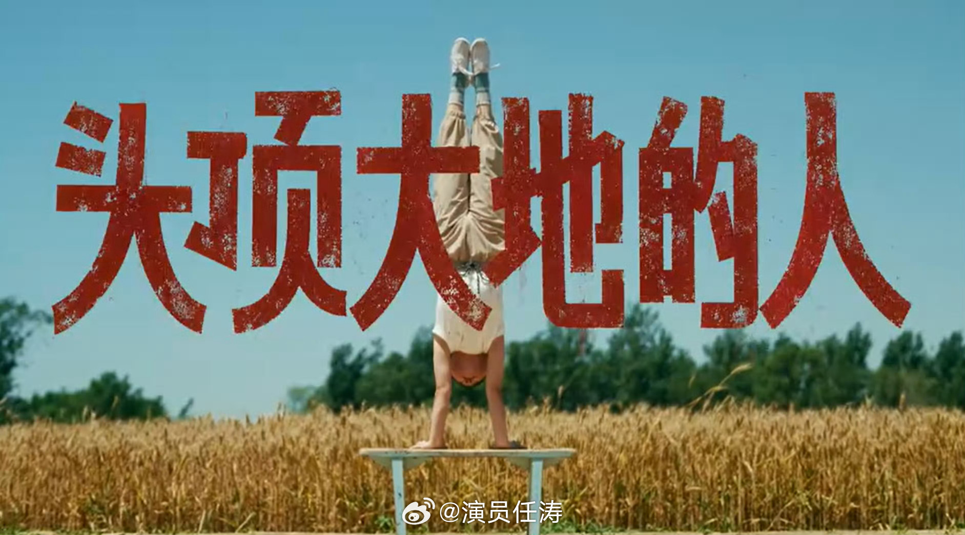 越长大越看不得杂技表演小时候只觉得精彩刺激，满心赞叹技艺高超。长大后才看懂每一个