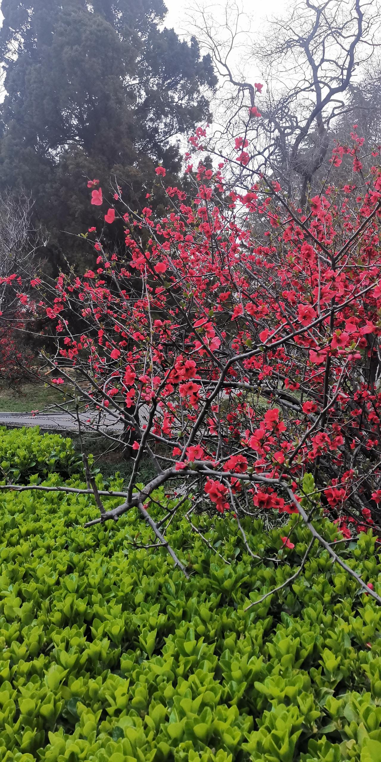 当然，最好的说法是：春花，夏风，秋雨，冬雪。但文章里明确了春风，秋雨，冬雪，问夏