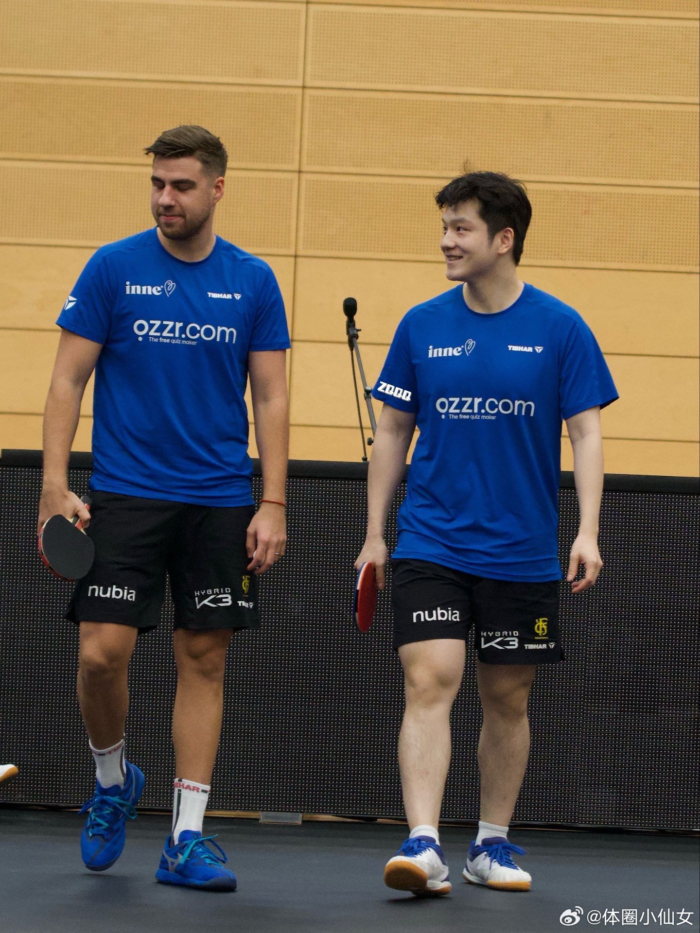 东哥终于遇到了和他一样可爱的达科！樊振东德甲 