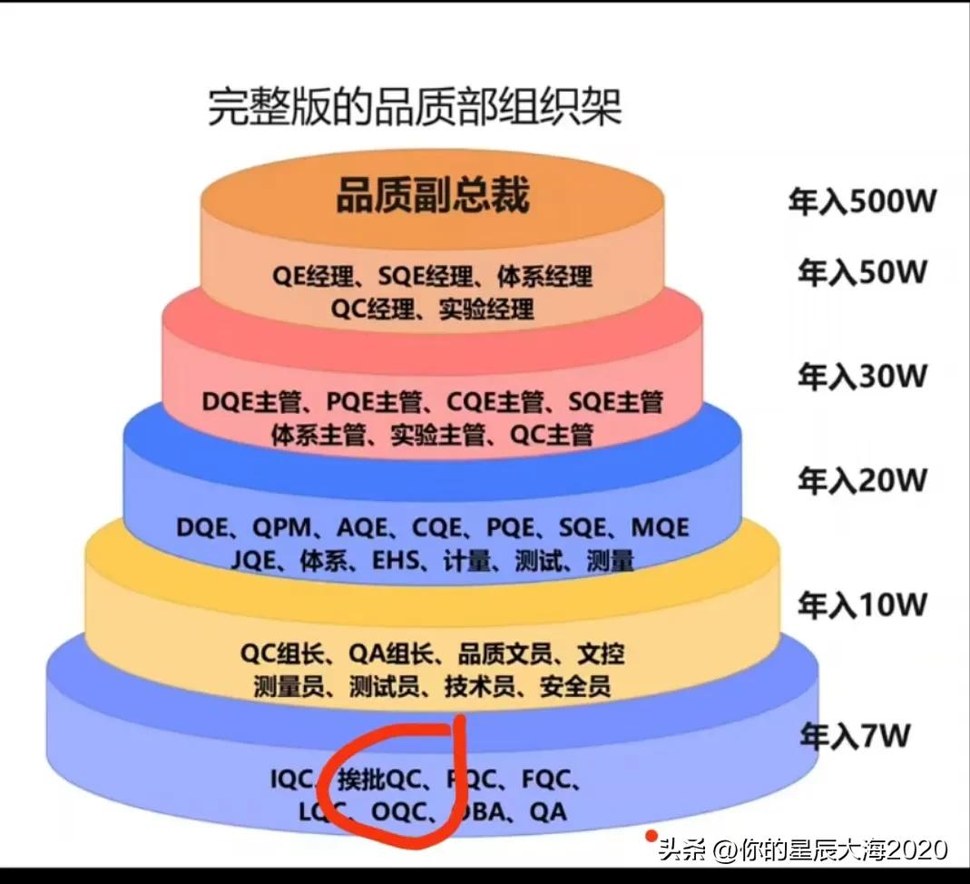 精美品质组织架构图及对应薪酬。快来看看你在哪儿？