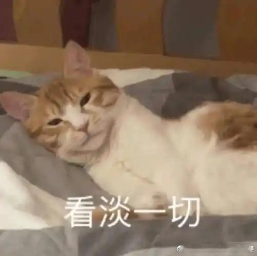 伊朗自己的国家管理不好，百姓就不会信任你，外部势力就有无数种可能参与其中，并影响