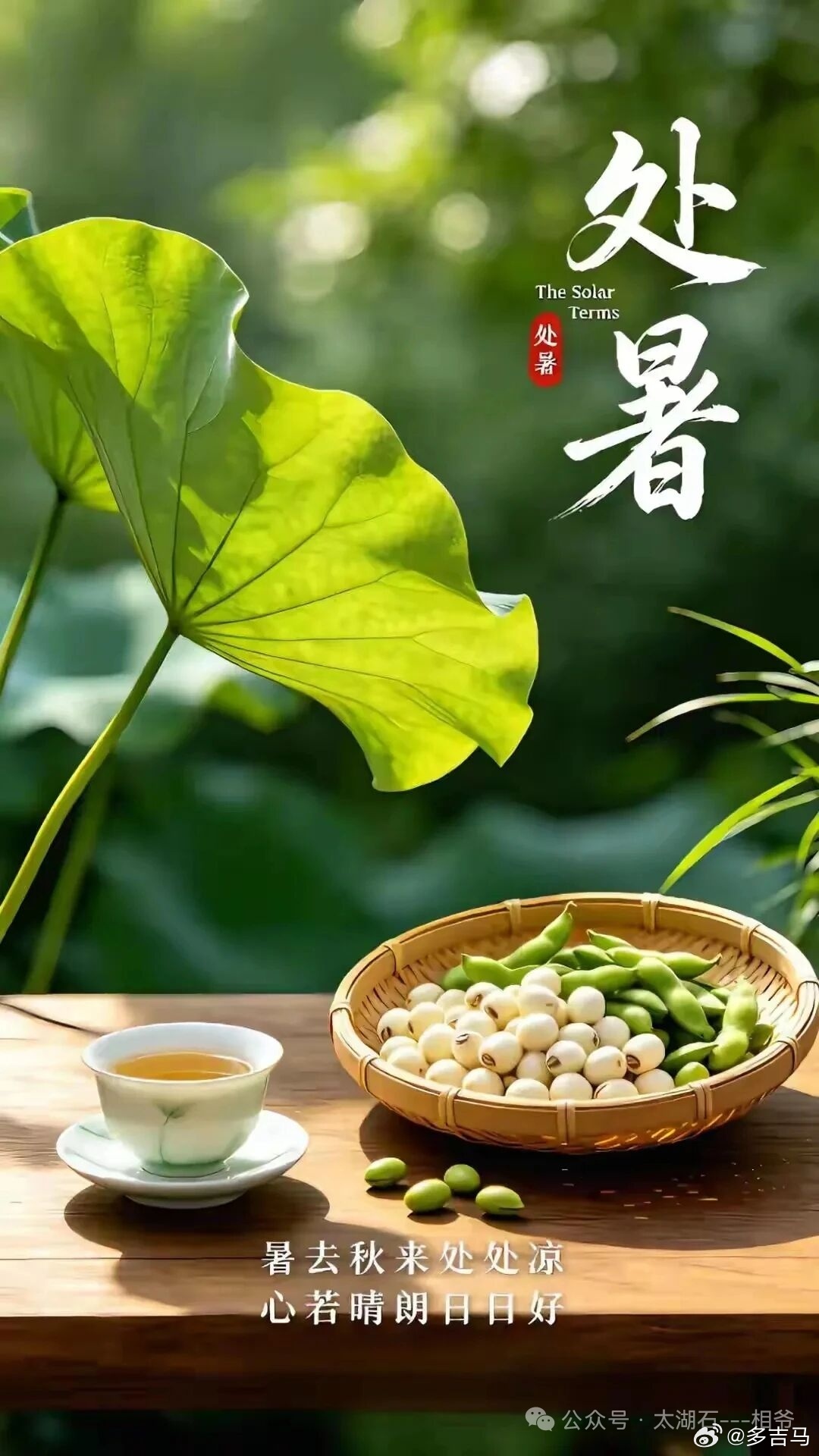 处暑后风雨  宋·仇远疾风驱急雨，残暑扫除空。因识炎凉态，都来顷刻中。纸窗嫌有隙