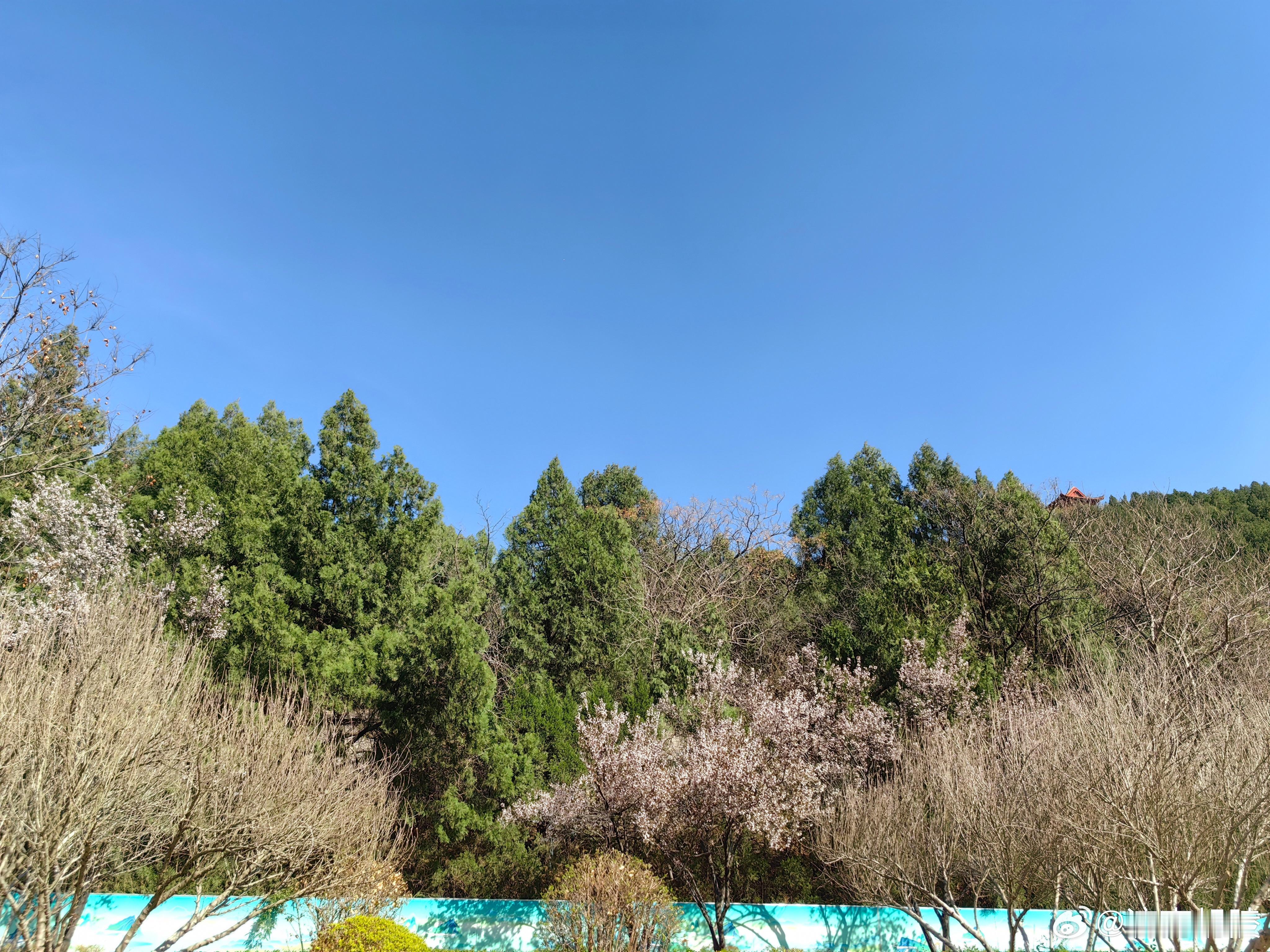 和妹妹去英雄山革命干部纪念堂看望离开我们14年的父亲，一声“爸爸我们来看您了”禁