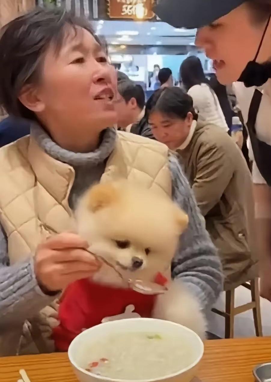 家人们，今天碰到个超离谱的事儿，必须得跟你们唠唠！一位大妈去餐馆吃饭，还带着宠物