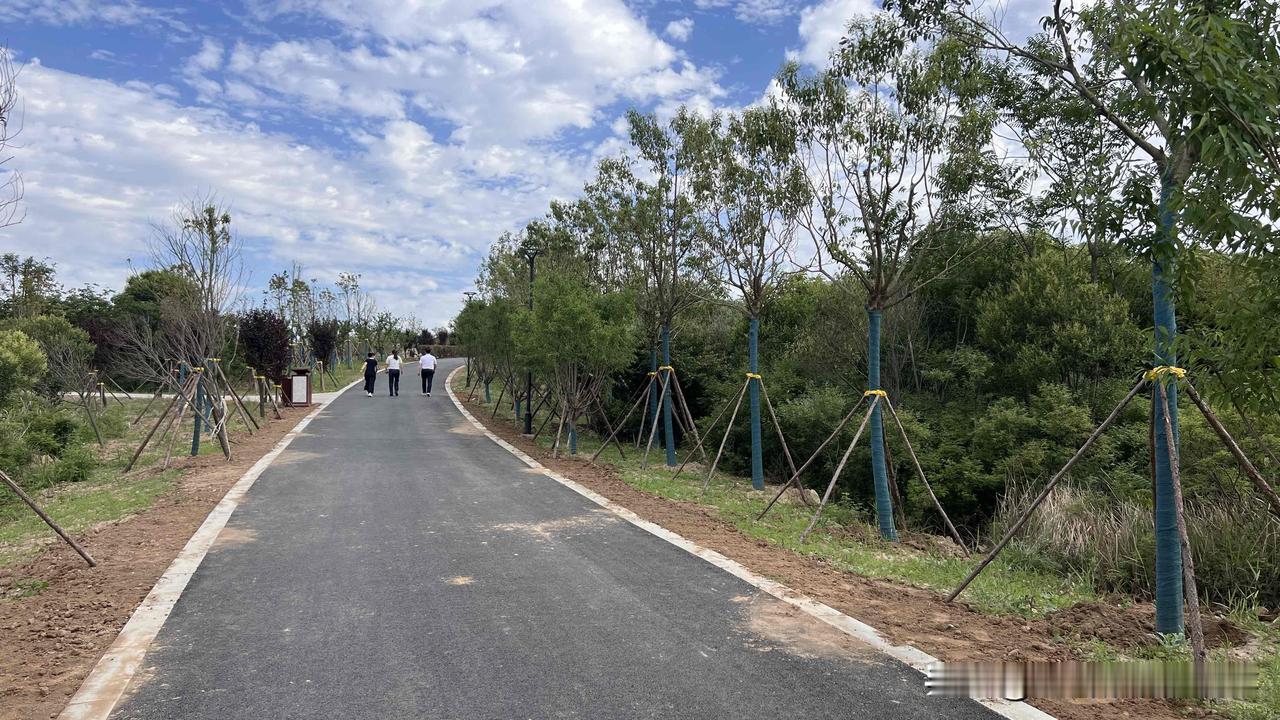 今天下午去平顶山山顶公园看看，的确发生了质的变化，整个园区道路整洁，梯次分明，绿