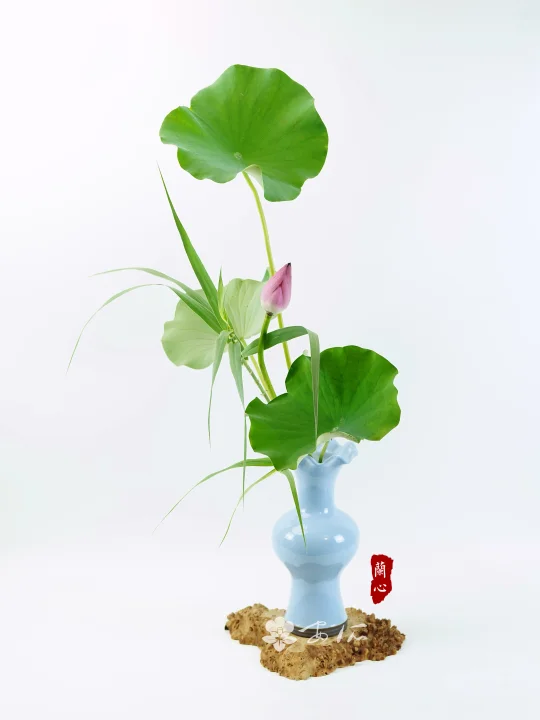 夏韵怜疏影，摇扇听荷声