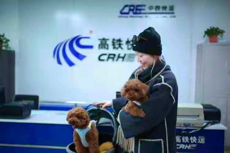 121座高铁站开放宠物托运！养宠人终于能和毛孩子“双向奔赴”啦！
   最近，铁