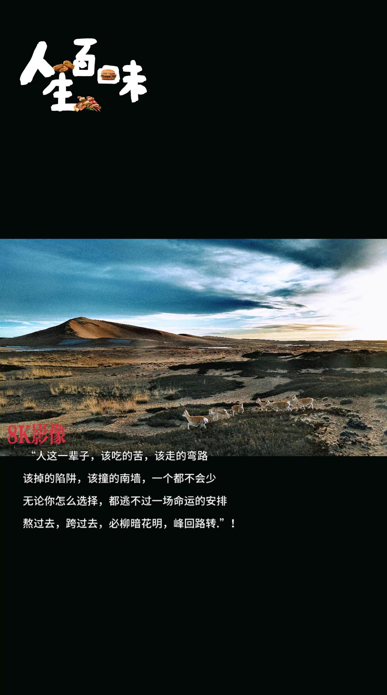 《人生感悟》正因为没有“绝对顺利”，我们才更懂得珍惜当下的美好，也更有勇气在困难