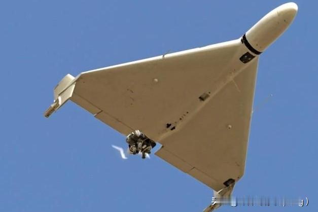 打蛇就是要打7寸。

3月31日，伊朗革命卫队

航空部队司令穆萨维称，

用导