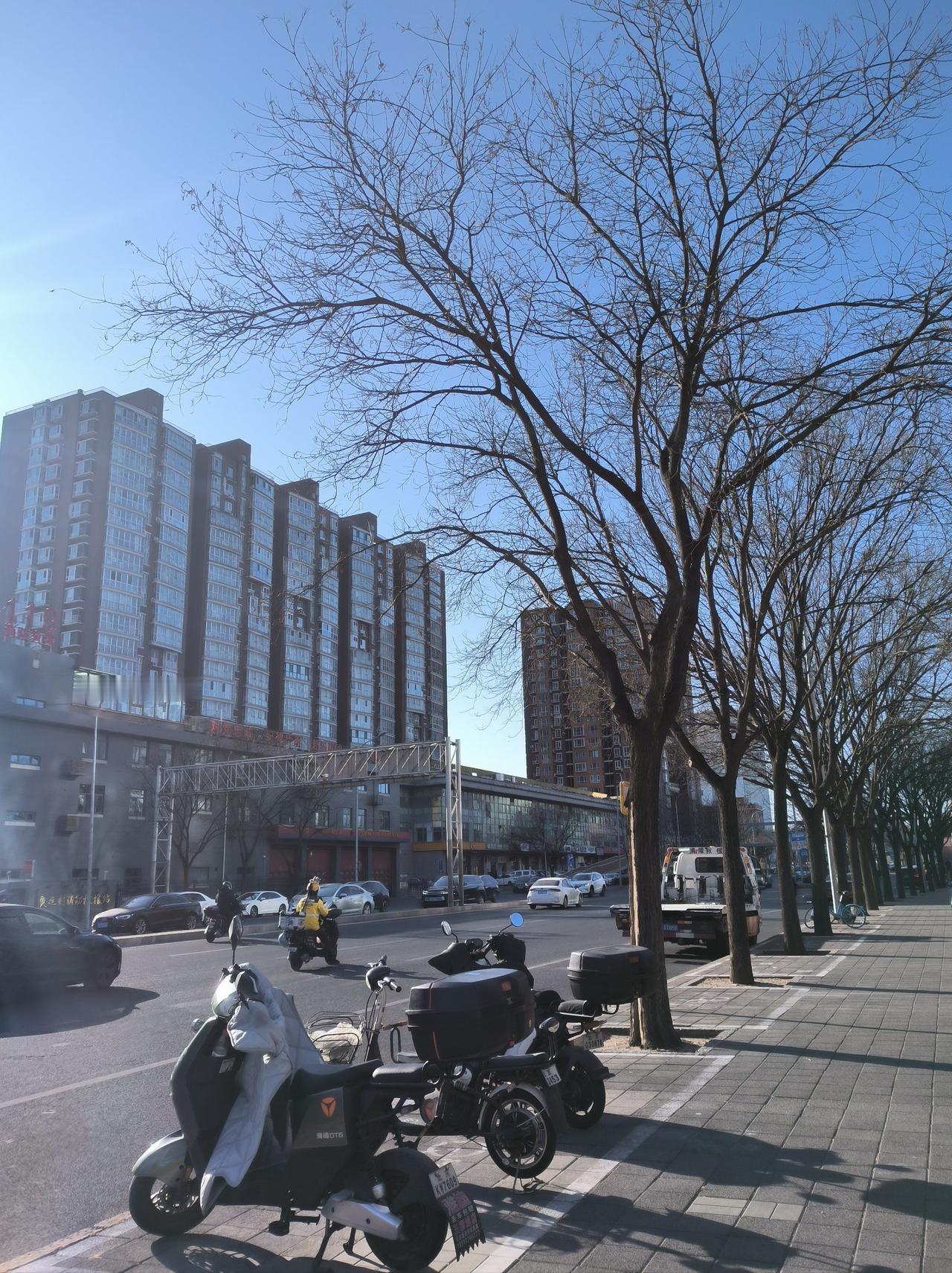 根据最新的气象信息，北京市朝阳区今天（12月28日）天气晴朗，气温将有所回升。未