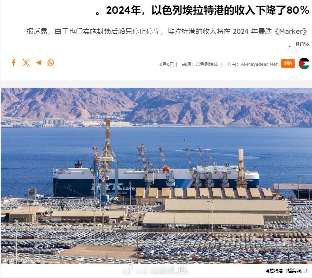 由于也门胡塞武装的航运封锁，以色列南部埃拉特港在2024年的收入下降了80%。 