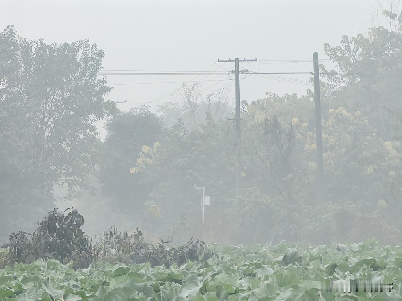 突然发现既然雾霾及污染天气可以精准预测，那么就不该是秸秆焚烧引起的，因为你预警时