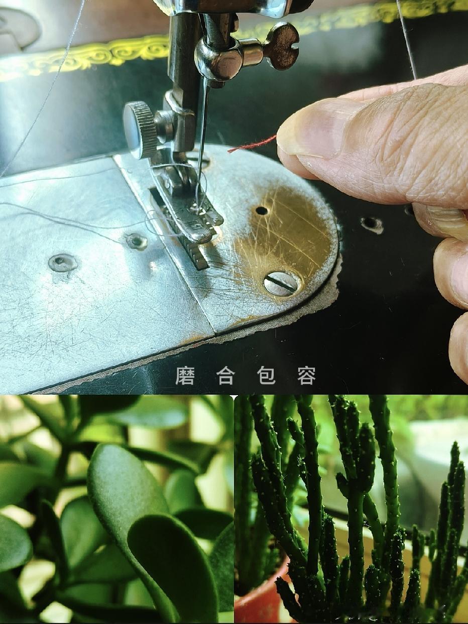 跟婆婆相处久了才发现，
婆媳关系
哪有什么天生就合拍的，全靠这招“穿针引线”！