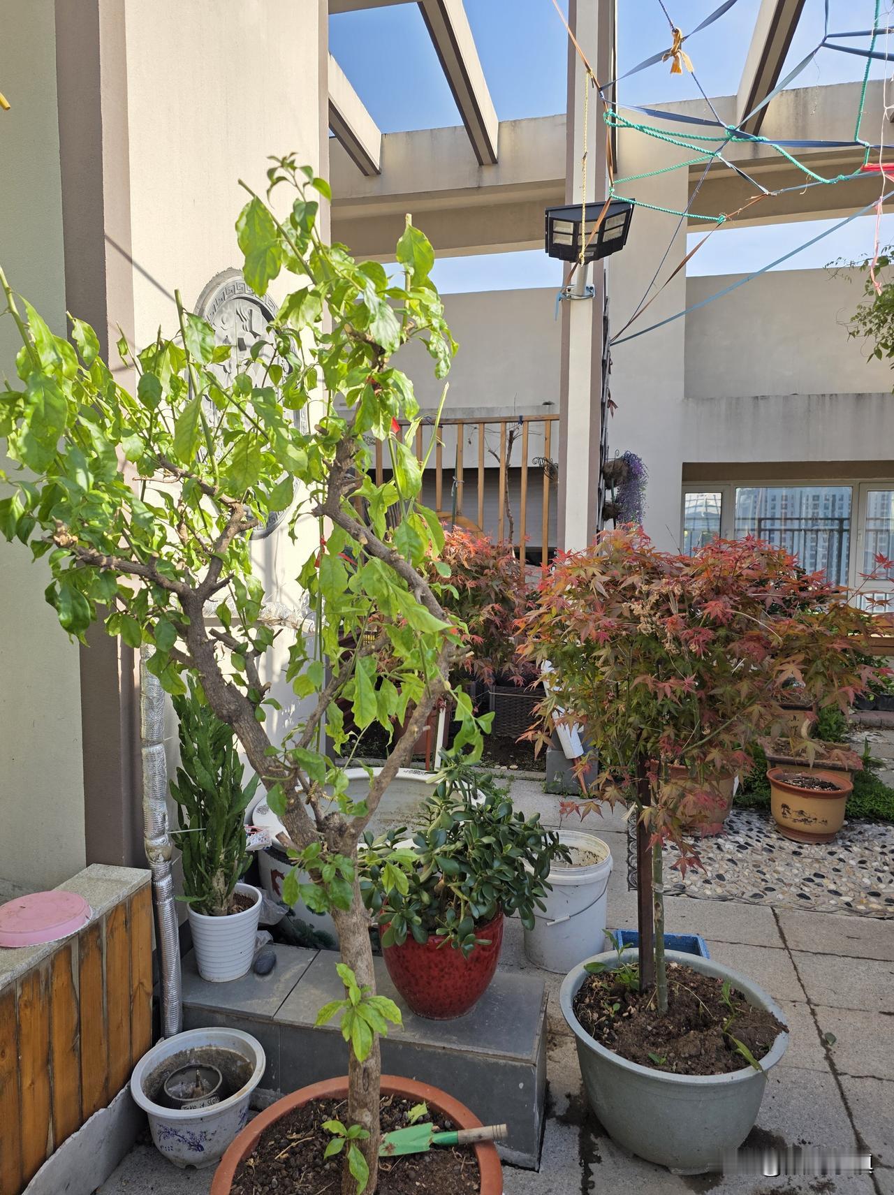 朋友们，做什么样的人才算踏实、舒心、没有白活一生？
 
朋友们，今天想跟大家聊聊