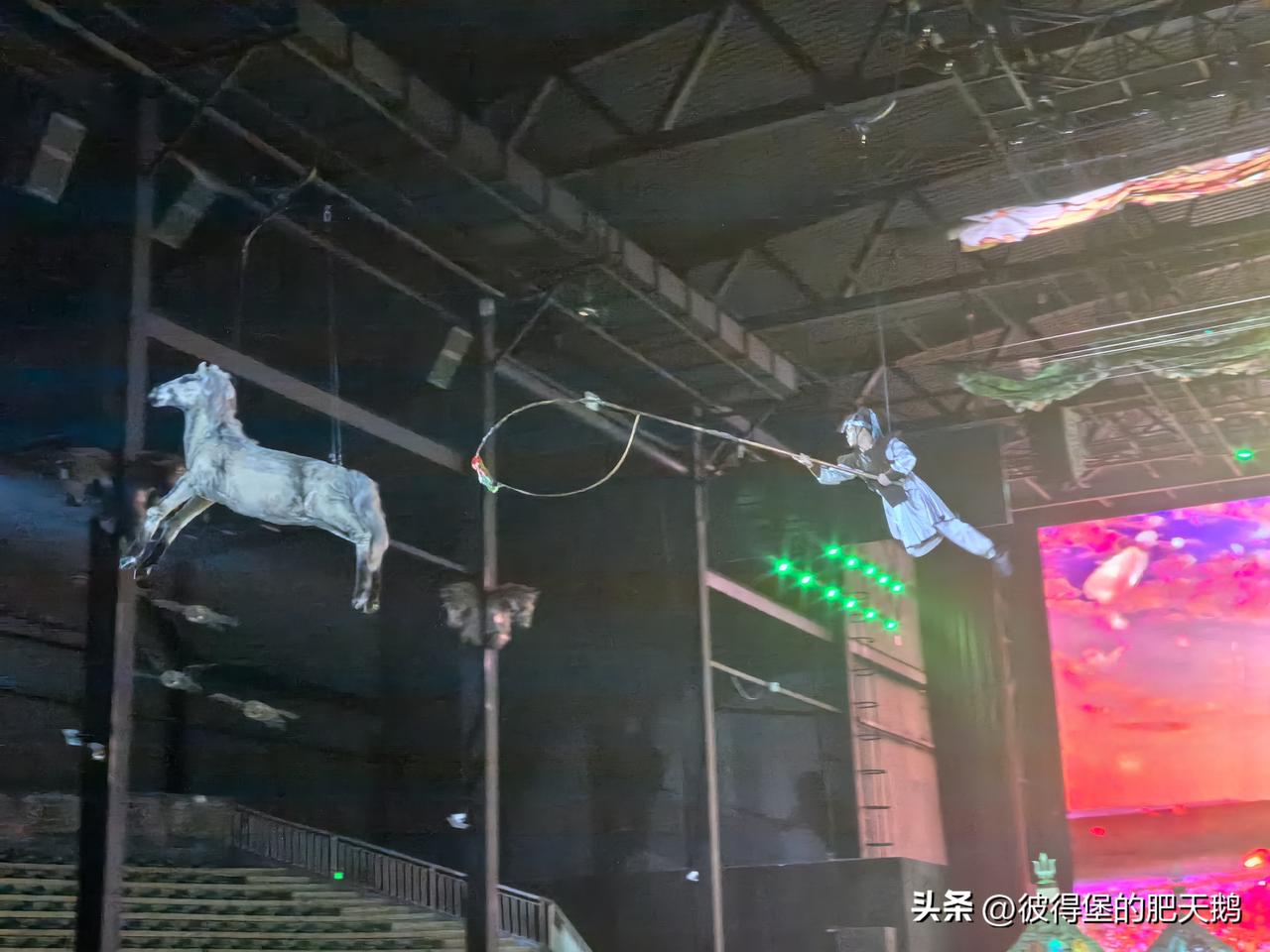 我的天呐，套马的汉子上天了[恐惧][恐惧][恐惧]