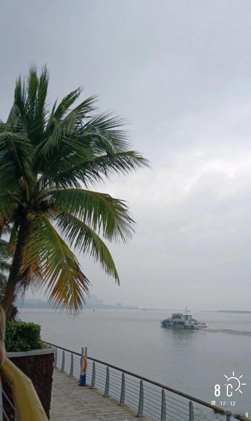 早安        要降温了。这温差还须防感冒……   