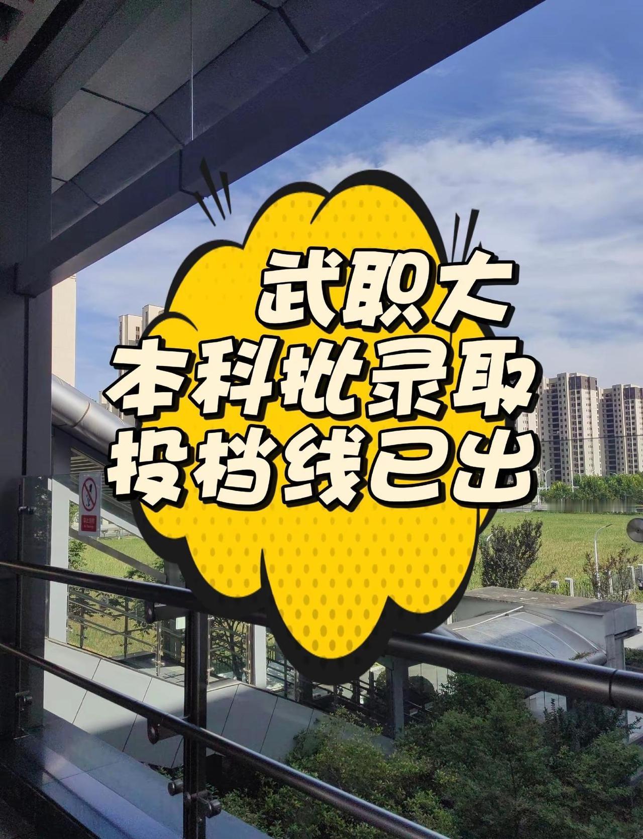 武职大 投档线已出。有录取的学弟学妹吗来集合喽😍😍武汉职业技术大学 本科批投