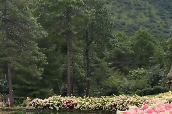 以前我以为一个人能忍住不联系，是因为他太忙，要么就是他性格比较内向，不善于交际。