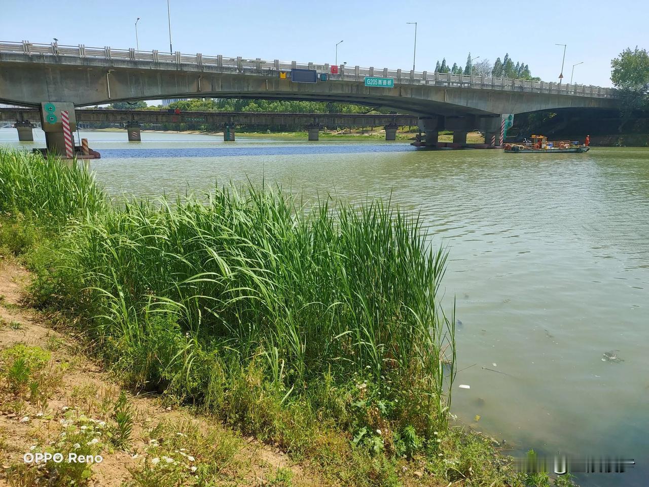 秦淮新河铁路桥，公路桥下小艇保洁工，二窑火车道口变身南京天驰五金机械厂 和金属，