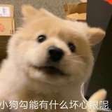 小枫枫热谈娱乐