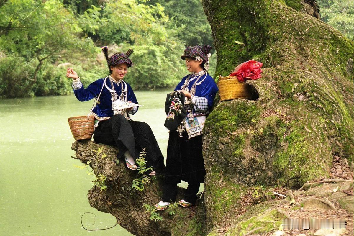 小学印象最深的课文《飒爽英姿打隧道》
 
至今仍清晰记得小学课文《飒爽英姿打隧道